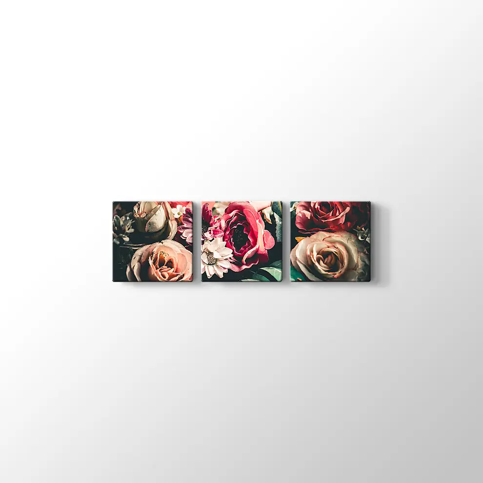 Renkli Demet Kanvas Tablo