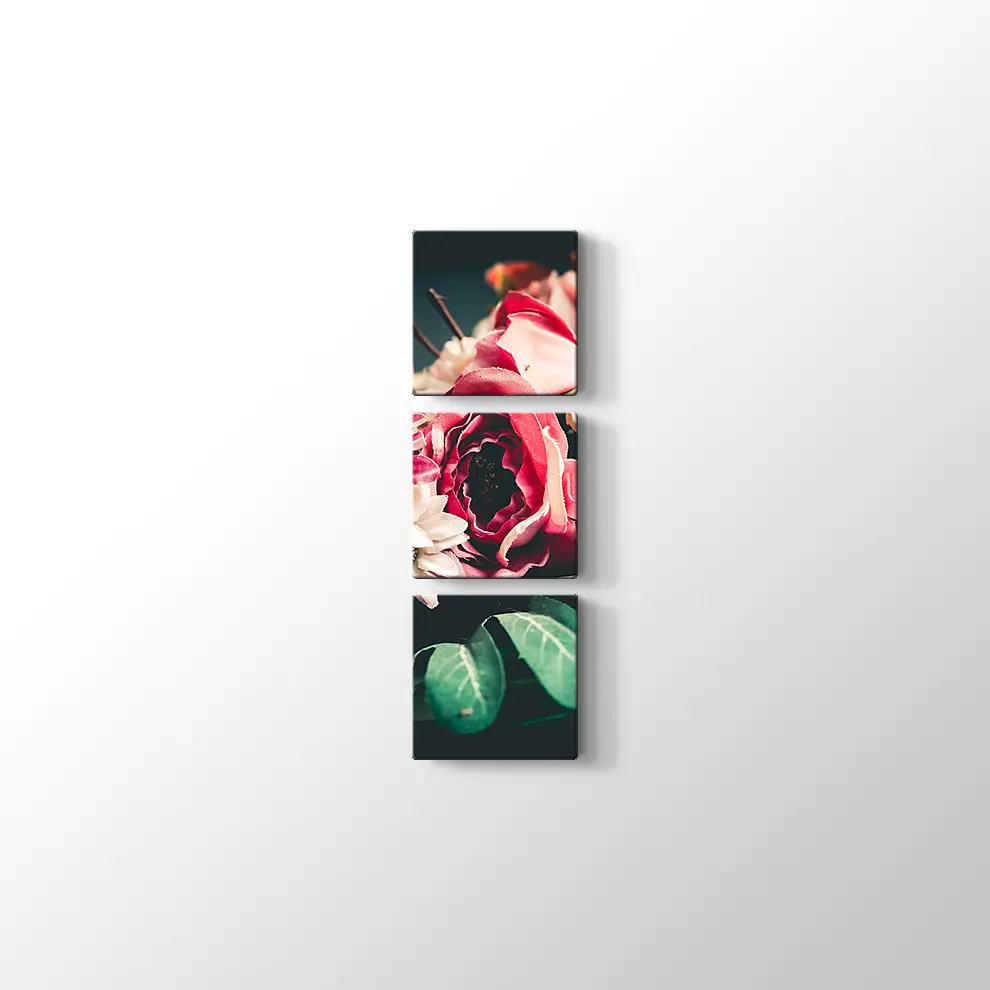 Renkli Demet Kanvas Tablo