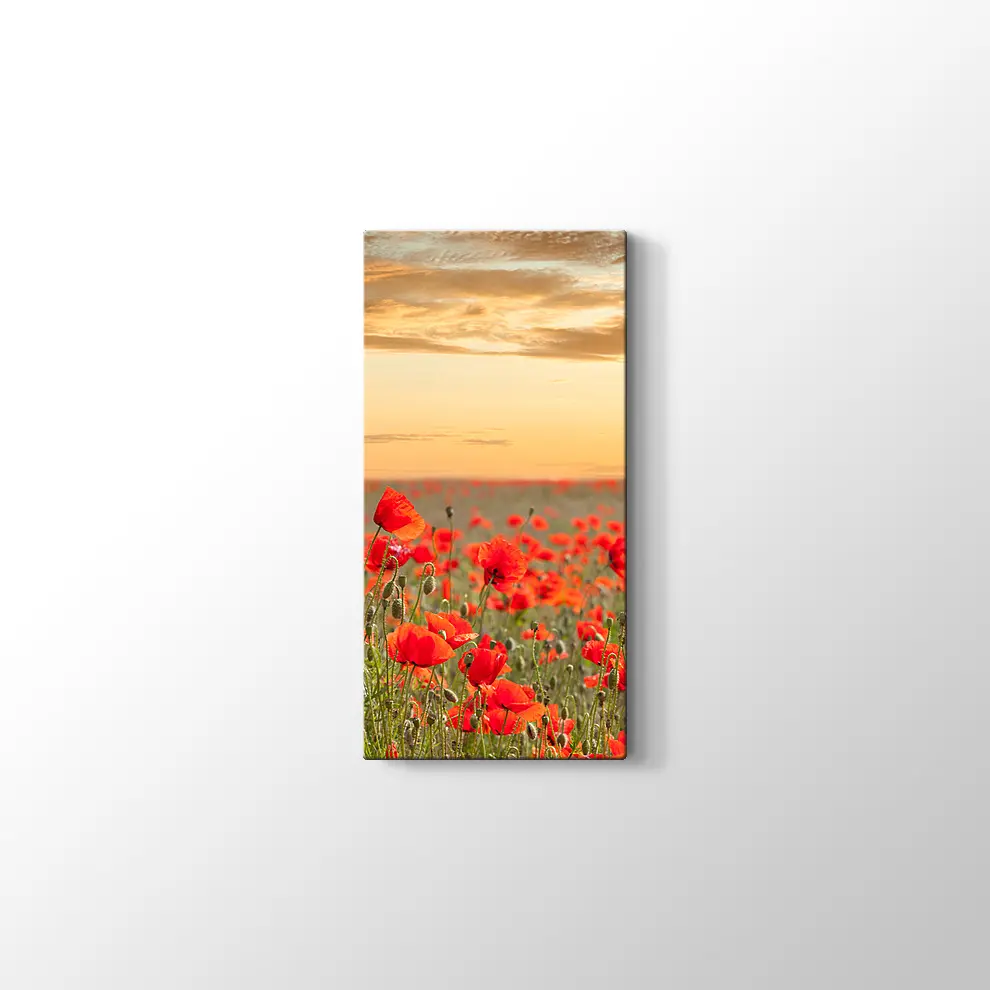 Gelincik Tarlası Kanvas Tablo