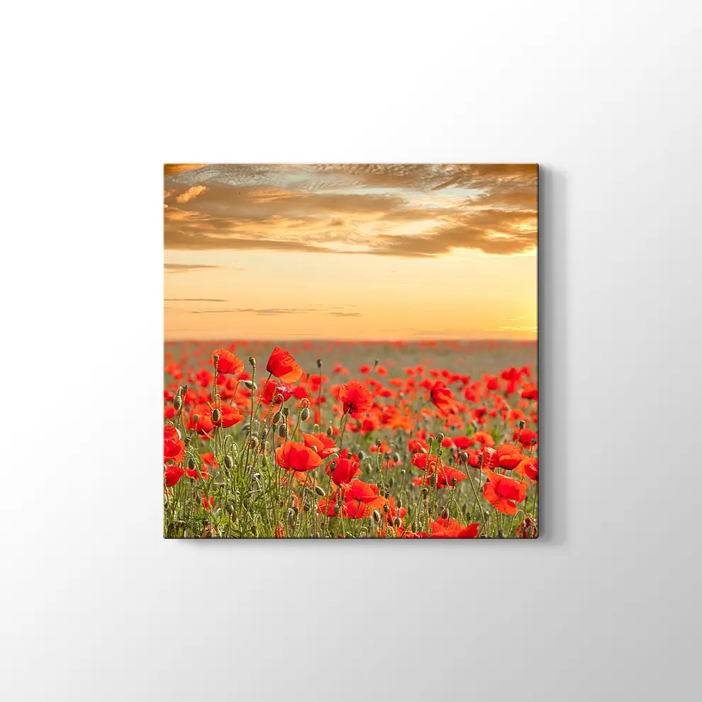 Gelincik Tarlası Kanvas Tablo