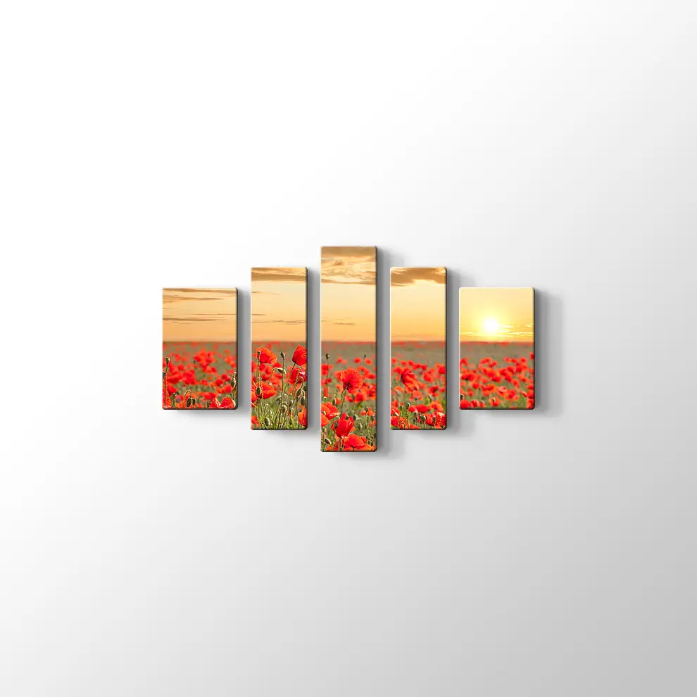 Gelincik Tarlası Kanvas Tablo