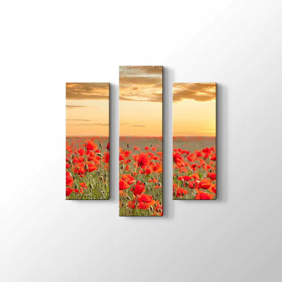 Gelincik Tarlası Kanvas Tablo