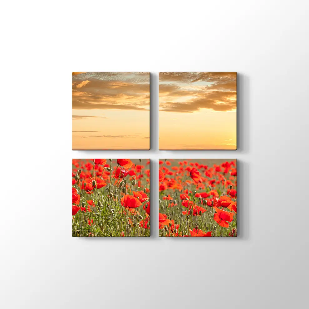 Gelincik Tarlası Kanvas Tablo