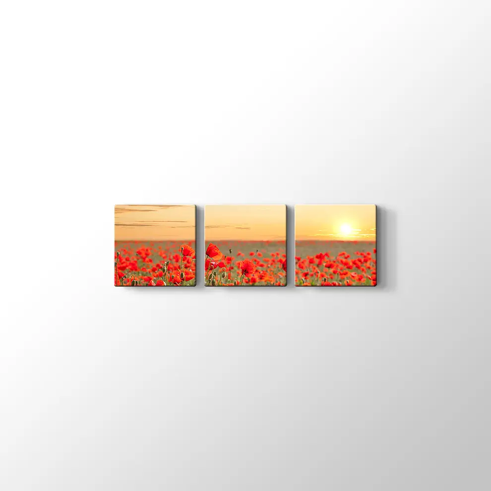 Gelincik Tarlası Kanvas Tablo