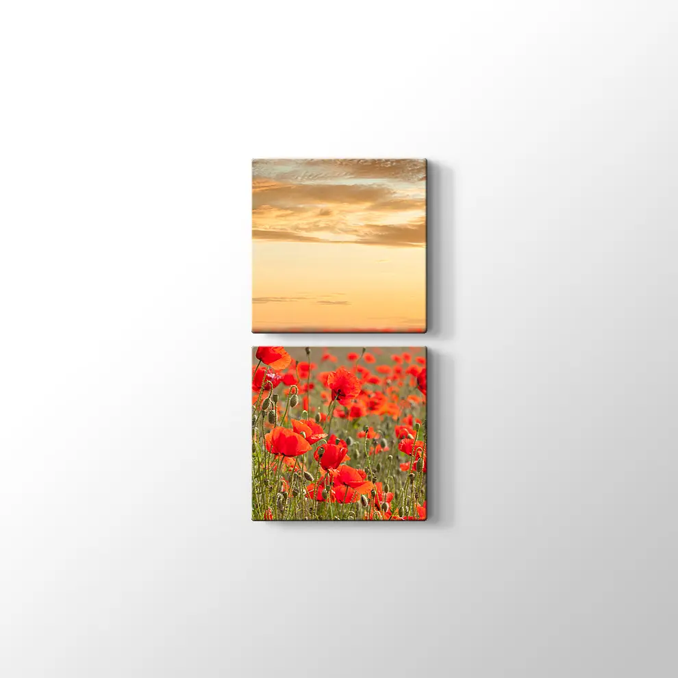 Gelincik Tarlası Kanvas Tablo