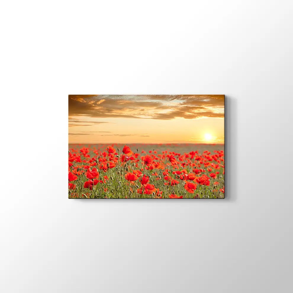 Gelincik Tarlası Kanvas Tablo