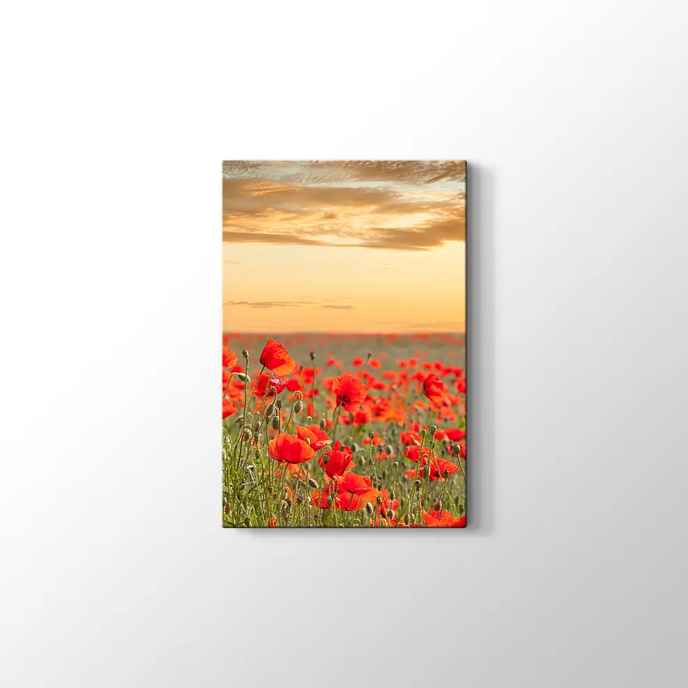 Gelincik Tarlası Kanvas Tablo