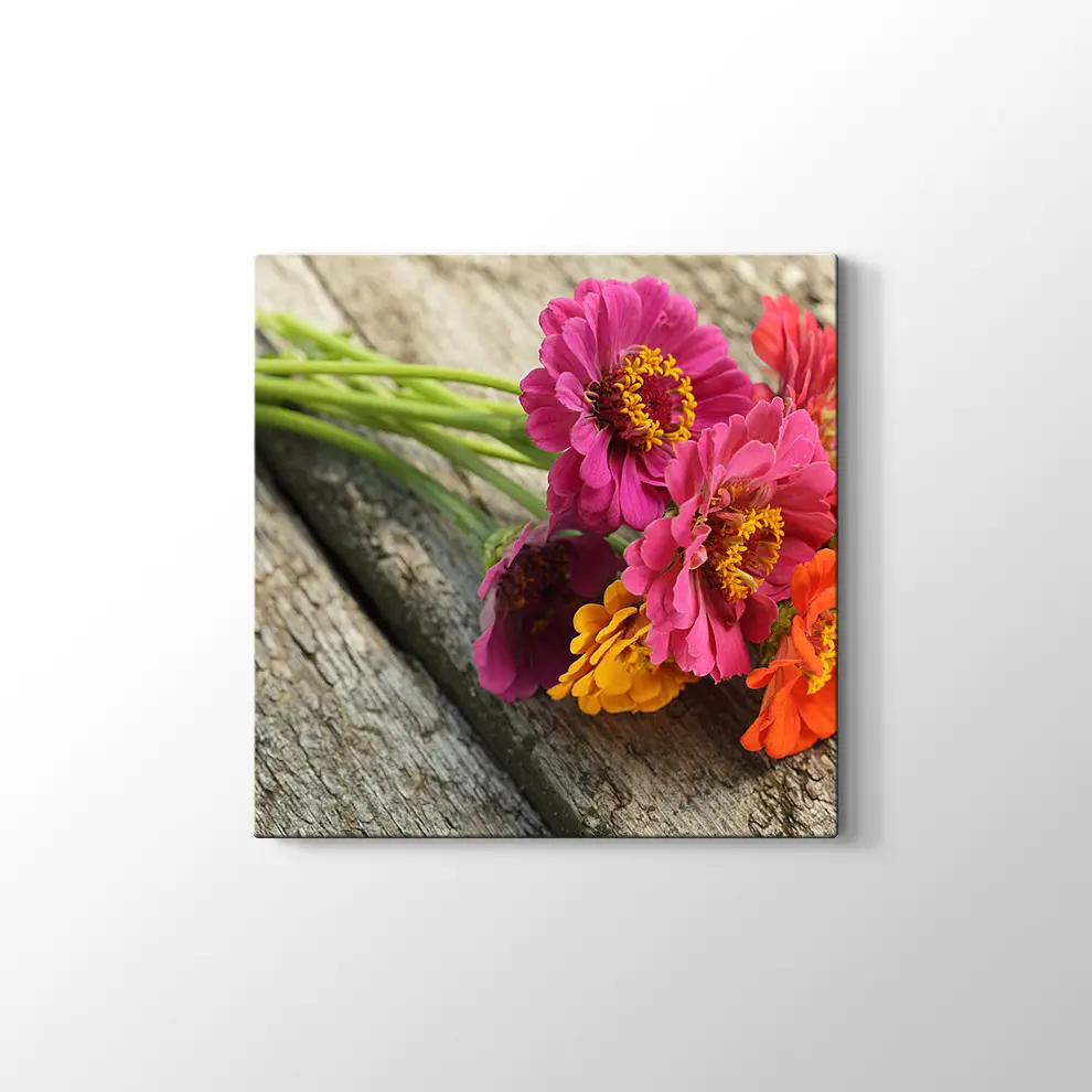 Pembe Papatya Kanvas Tablo