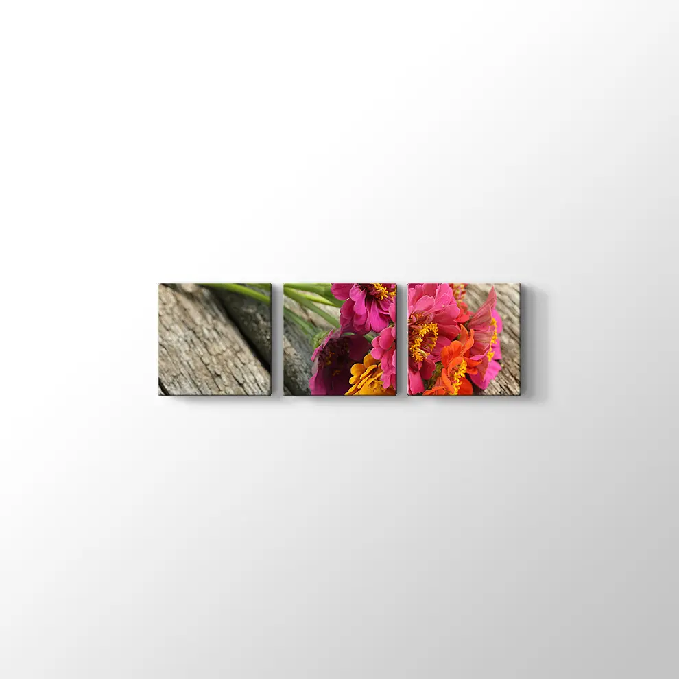 Pembe Papatya Kanvas Tablo