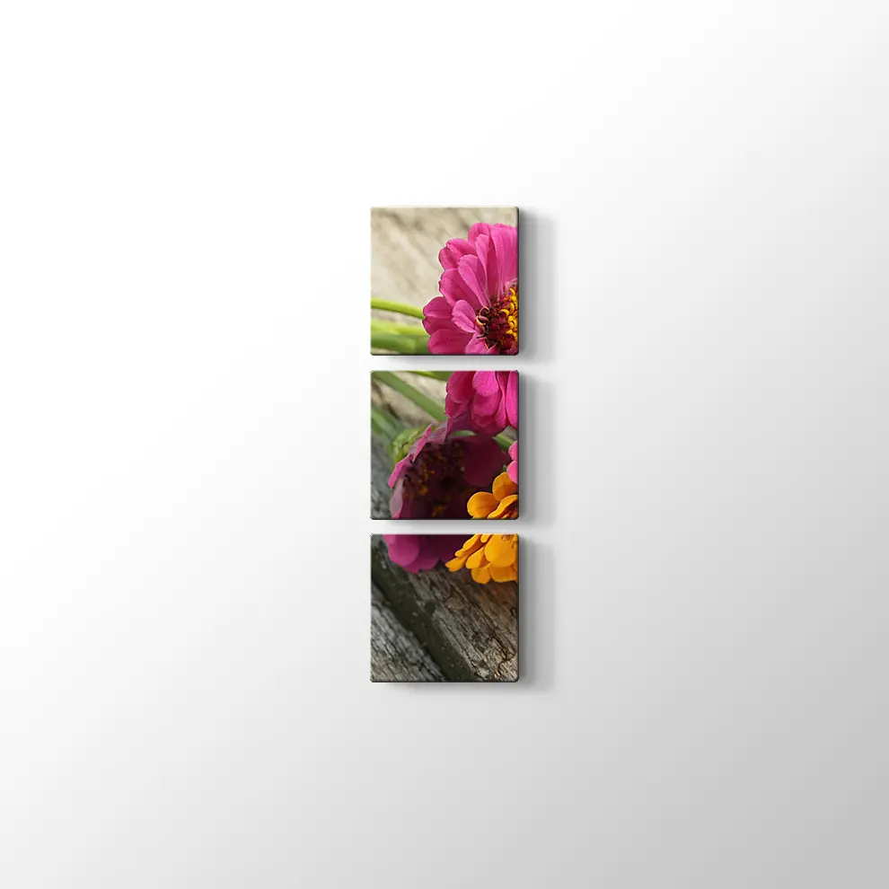 Pembe Papatya Kanvas Tablo