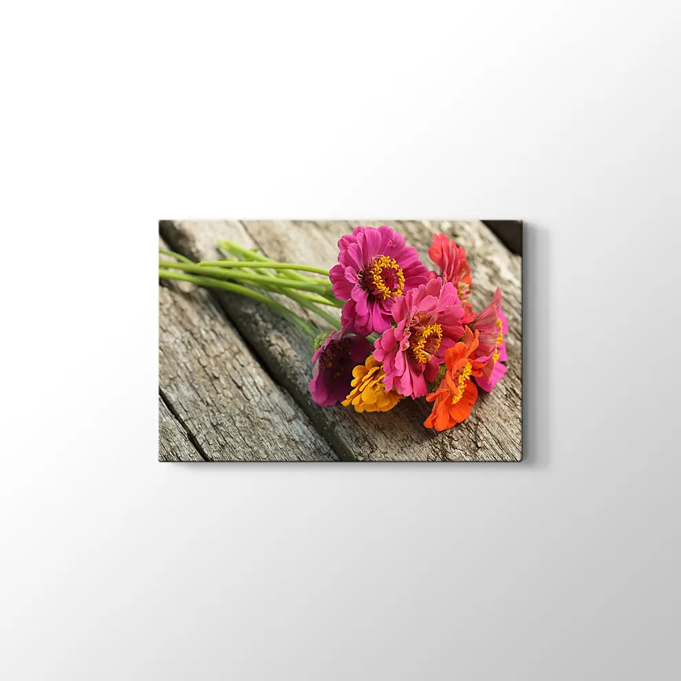 Pembe Papatya Kanvas Tablo