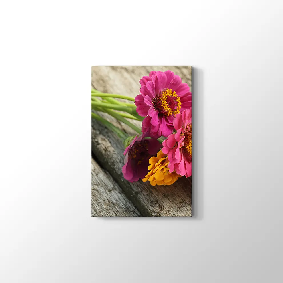 Pembe Papatya Kanvas Tablo