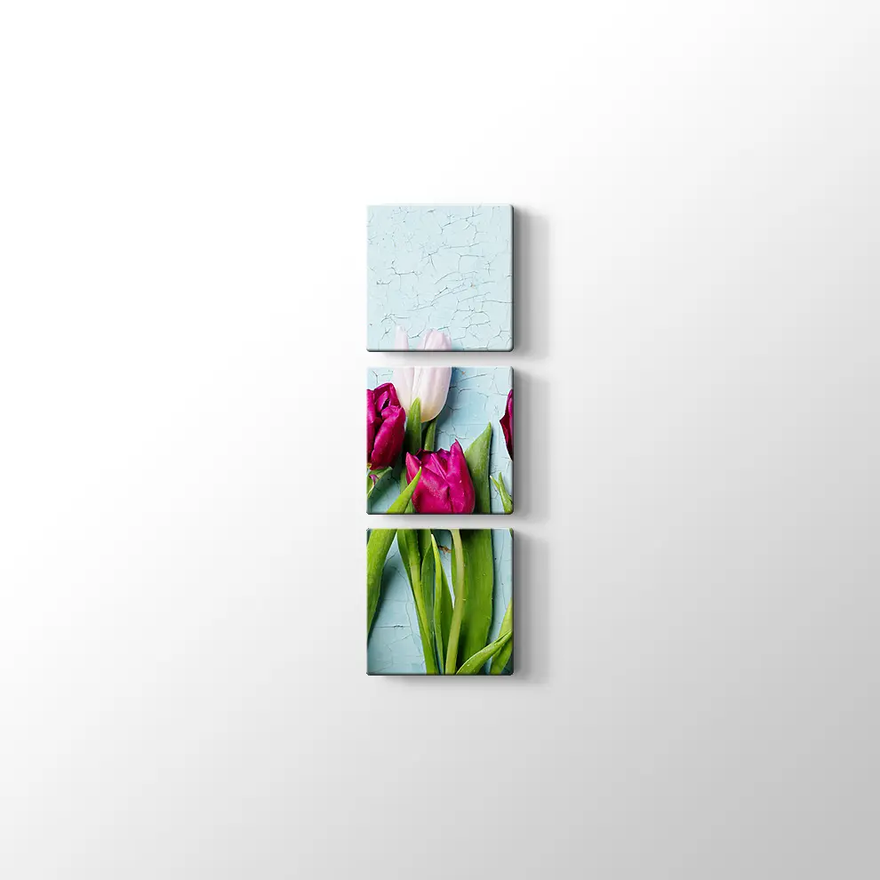 Laleler Kanvas Tablo