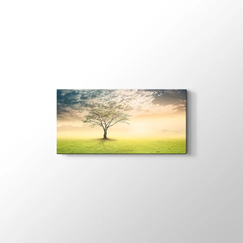 Gün Doğumu Yanlız Ağaç Kanvas Tablo
