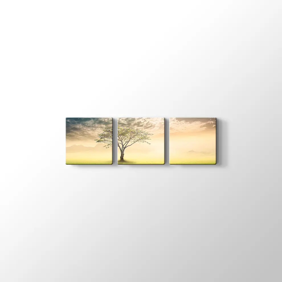 Gün Doğumu Yanlız Ağaç Kanvas Tablo