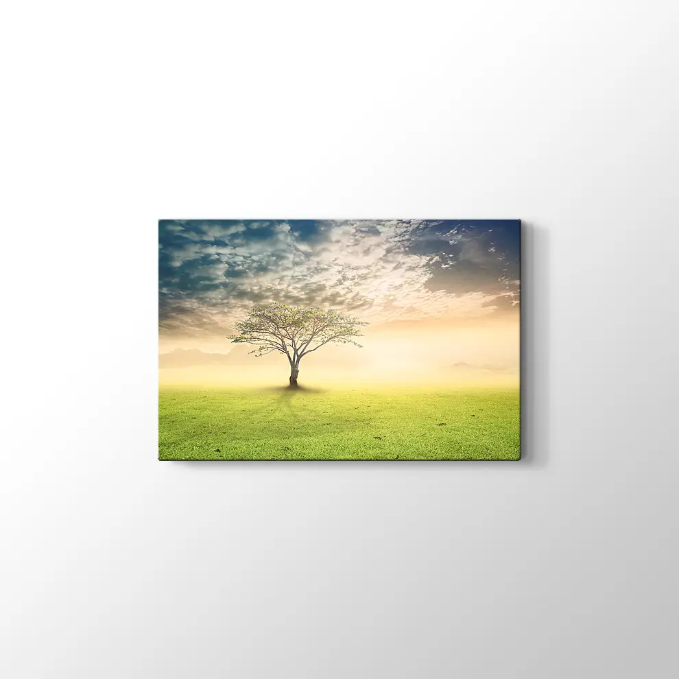 Gün Doğumu Yanlız Ağaç Kanvas Tablo