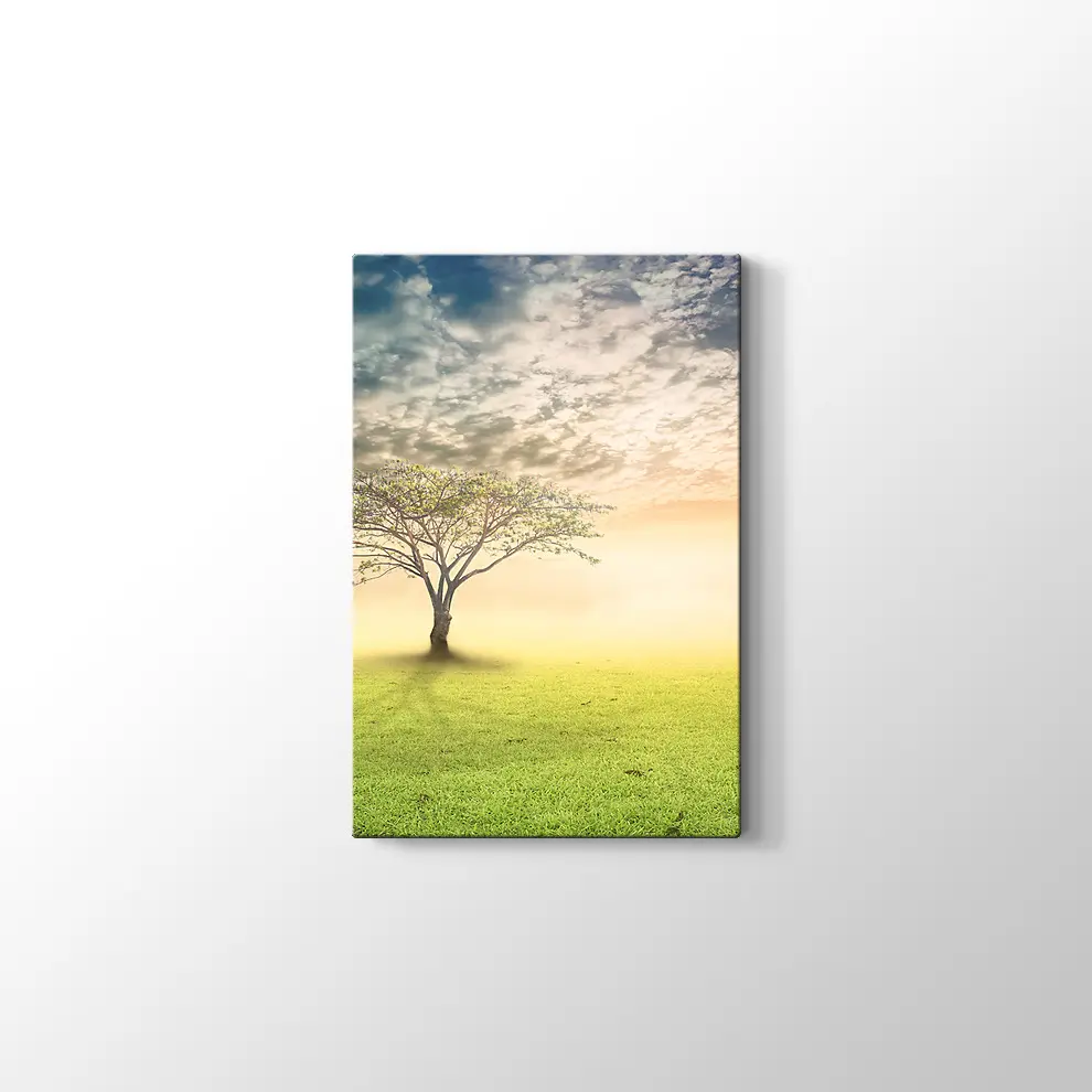 Gün Doğumu Yanlız Ağaç Kanvas Tablo