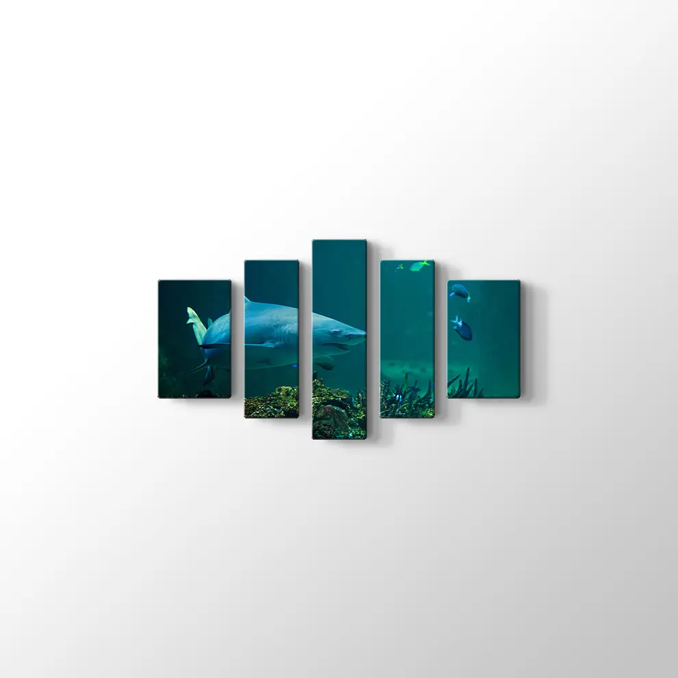 Köpekbalığı Kanvas Tablo