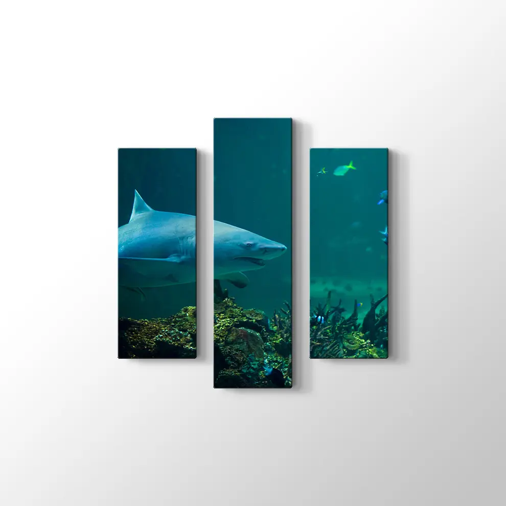 Köpekbalığı Kanvas Tablo