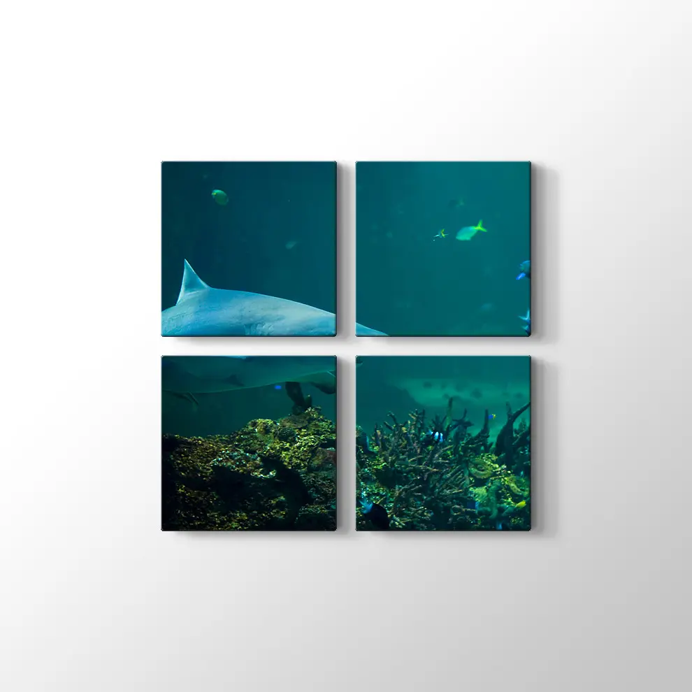 Köpekbalığı Kanvas Tablo