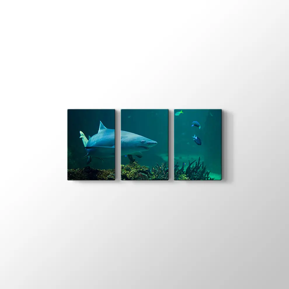 Köpekbalığı Kanvas Tablo