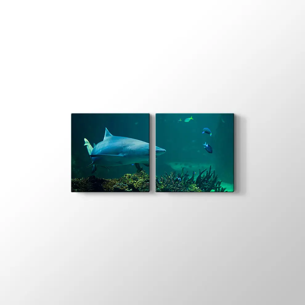 Köpekbalığı Kanvas Tablo