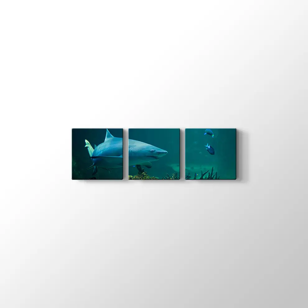 Köpekbalığı Kanvas Tablo