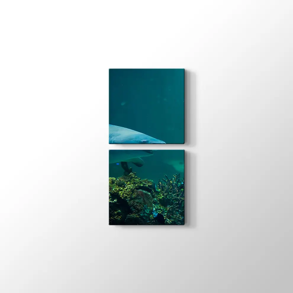 Köpekbalığı Kanvas Tablo