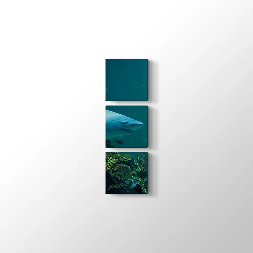 Köpekbalığı Kanvas Tablo