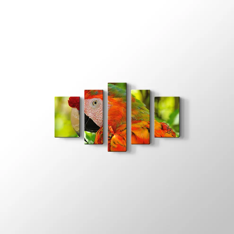 Amerika Papağanı Kanvas Tablo
