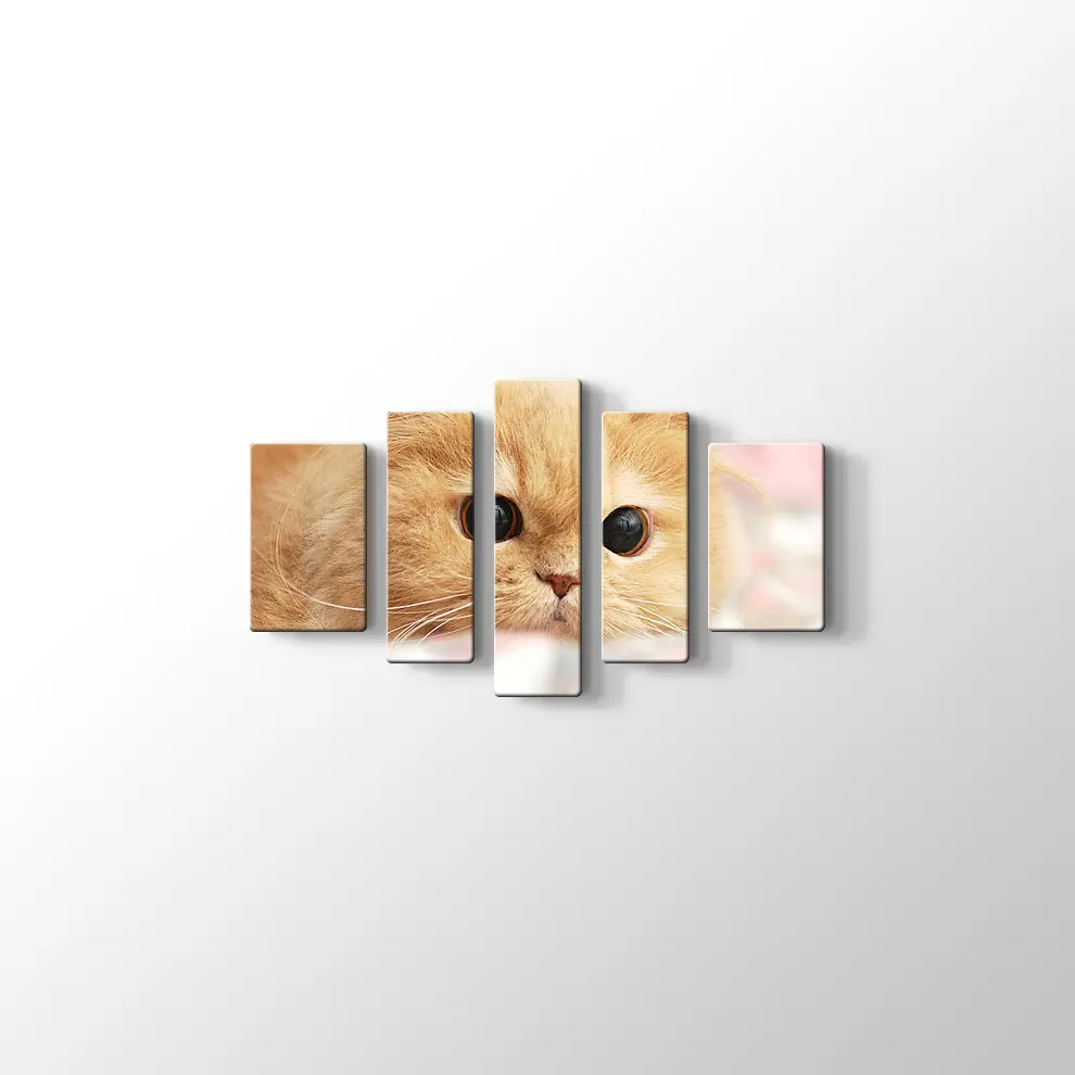 İran Kedisi Kanvas Tablo