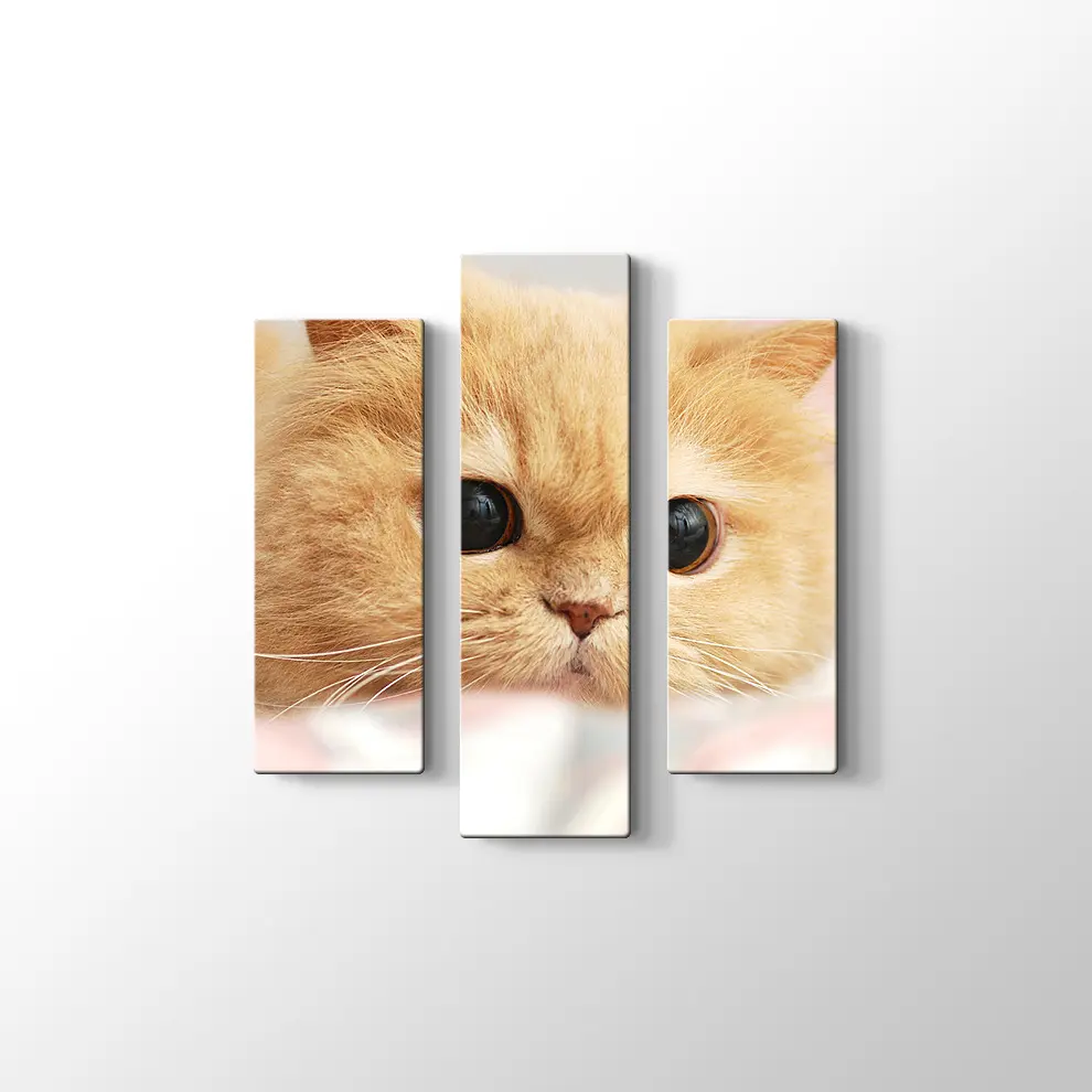 İran Kedisi Kanvas Tablo