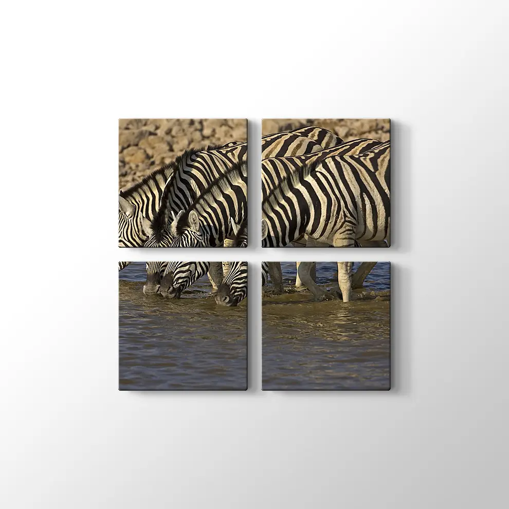 Su İçen Zebralar Kanvas Tablo