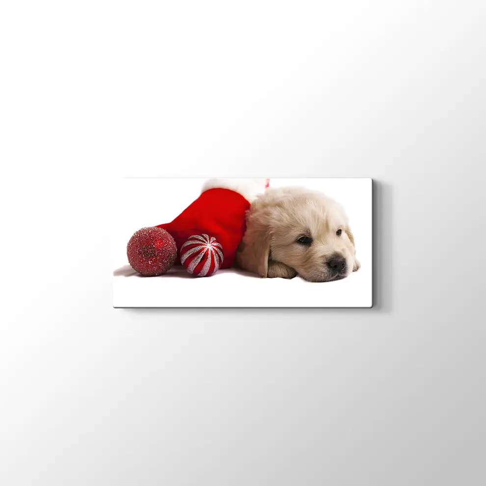 Noel Köpeği Kanvas Tablo