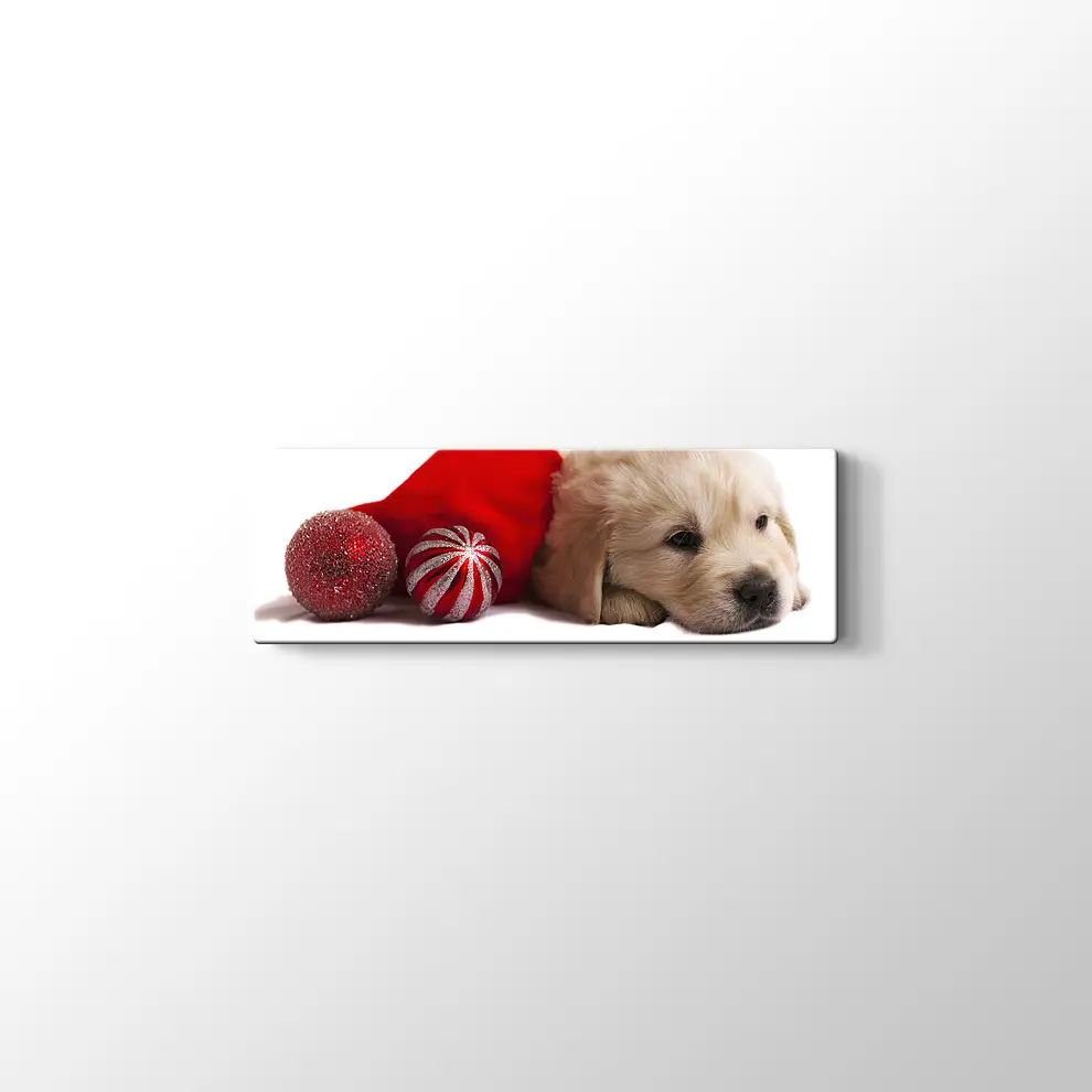 Noel Köpeği Kanvas Tablo