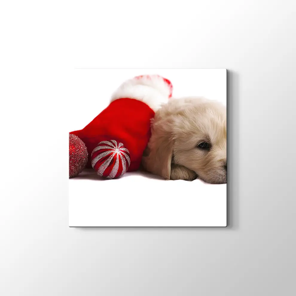 Noel Köpeği Kanvas Tablo