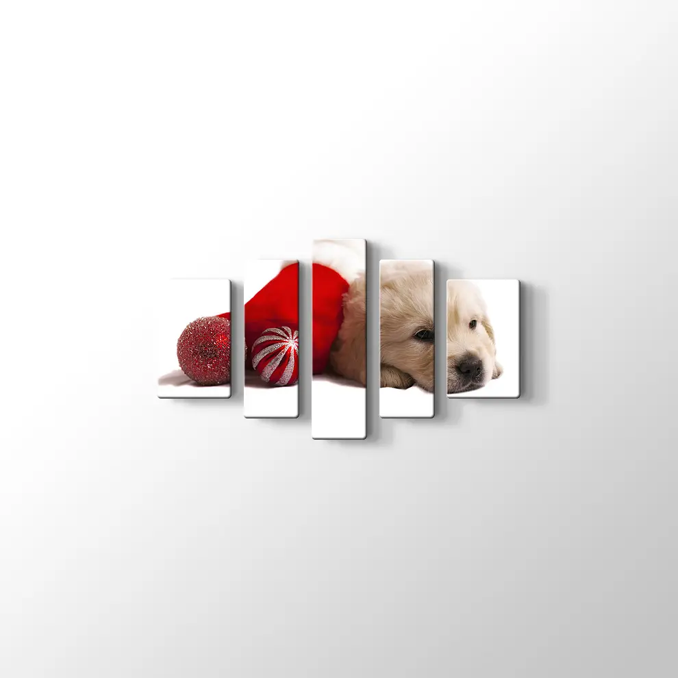 Noel Köpeği Kanvas Tablo