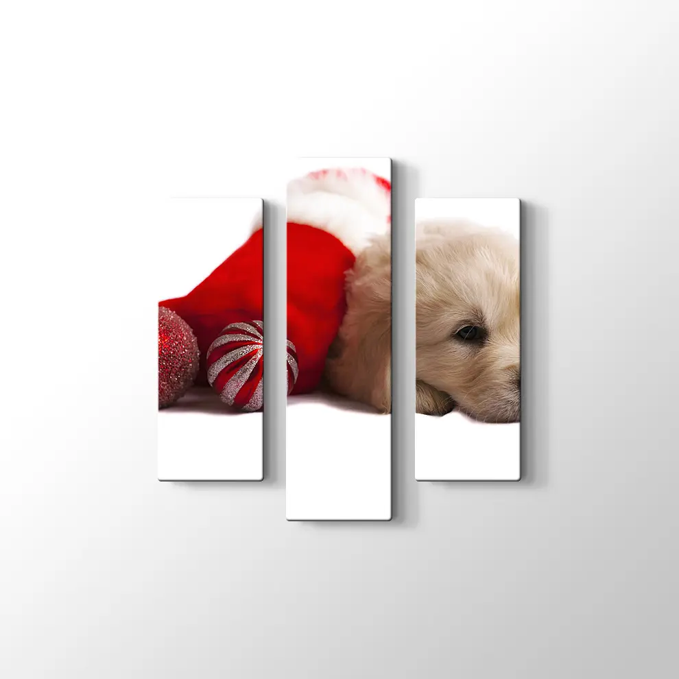 Noel Köpeği Kanvas Tablo