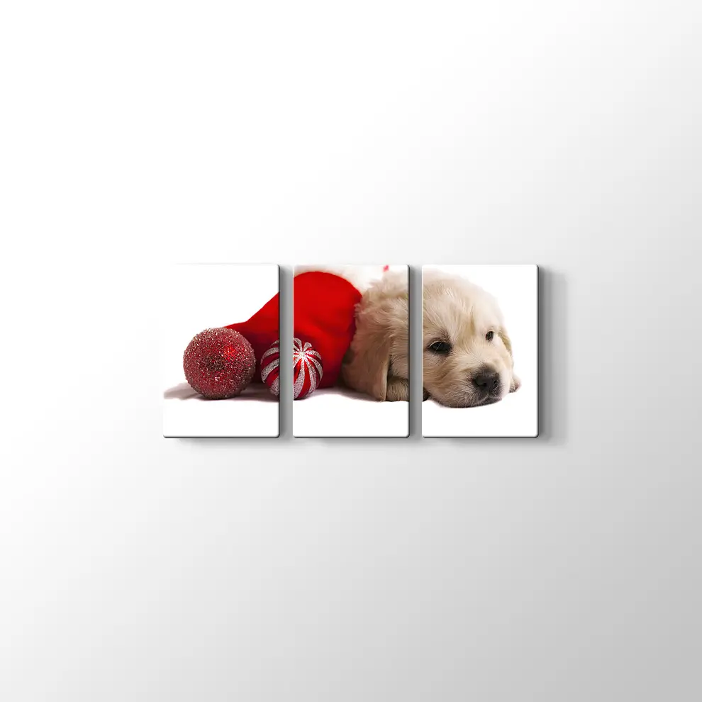 Noel Köpeği Kanvas Tablo