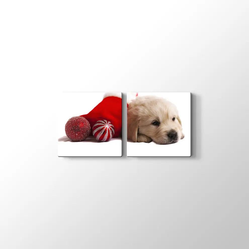 Noel Köpeği Kanvas Tablo