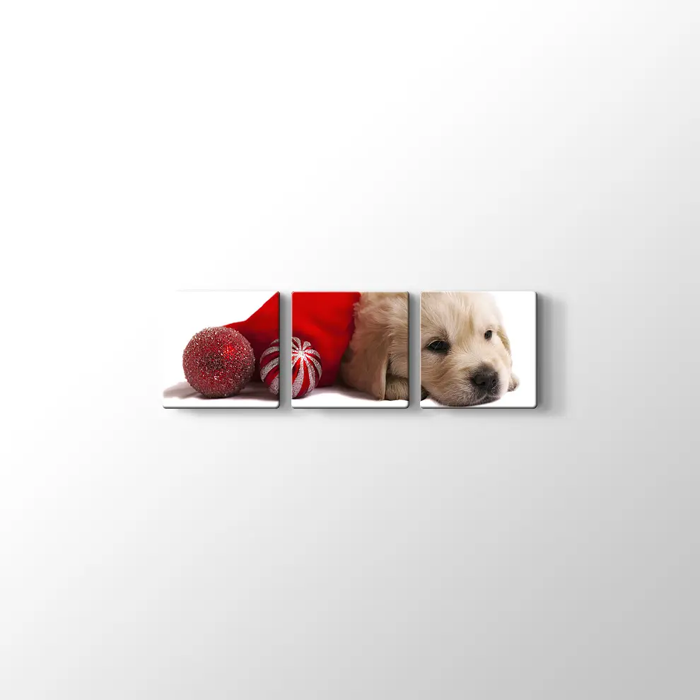 Noel Köpeği Kanvas Tablo