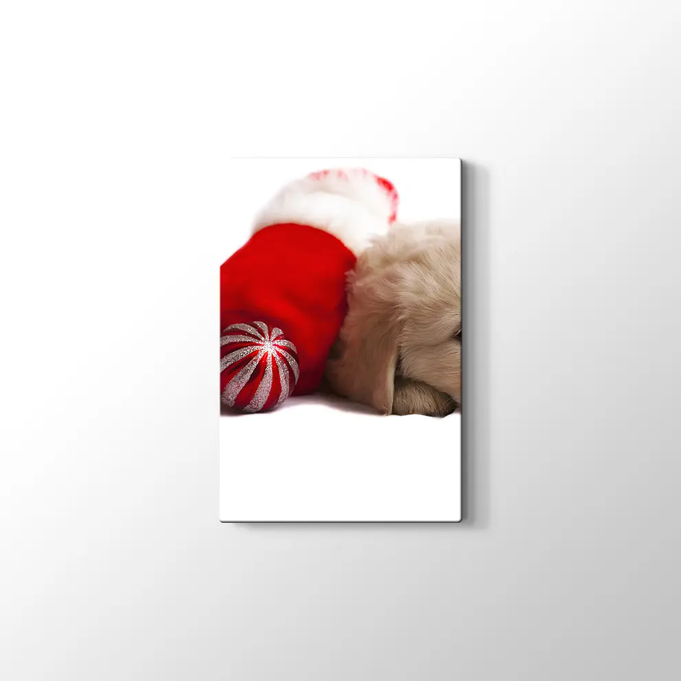 Noel Köpeği Kanvas Tablo