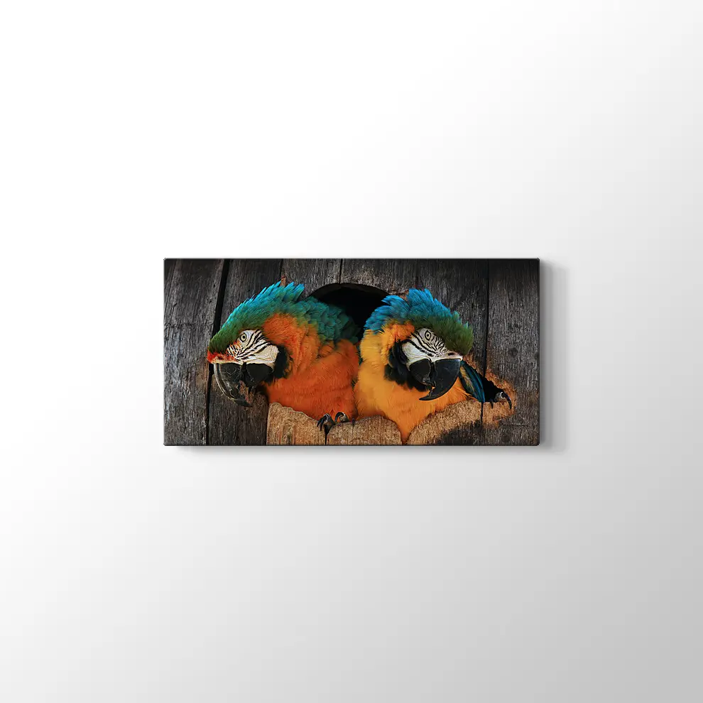 Papağan Yuvası Kanvas Tablo