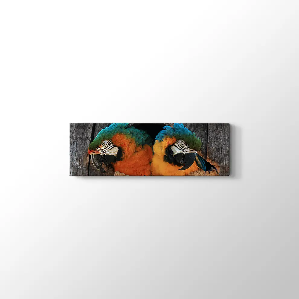 Papağan Yuvası Kanvas Tablo