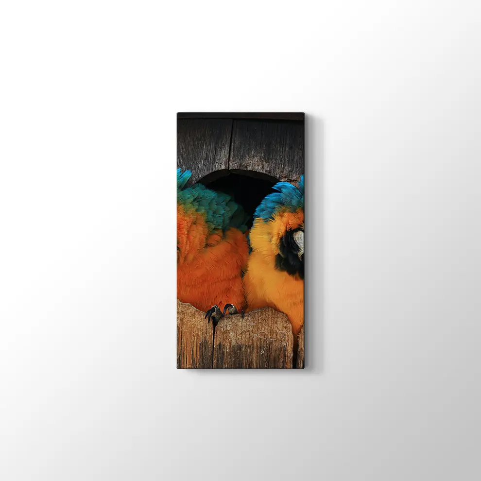 Papağan Yuvası Kanvas Tablo