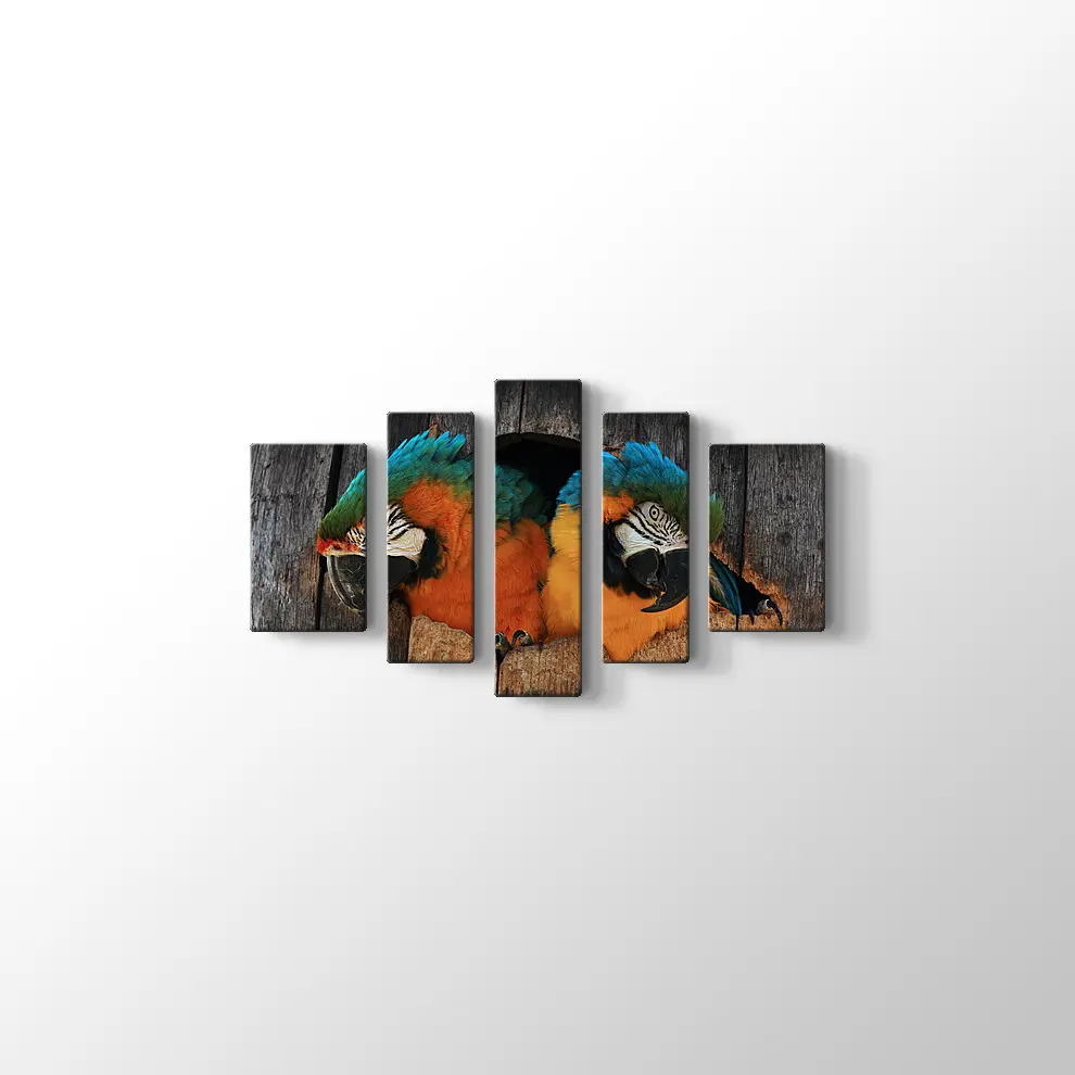 Papağan Yuvası Kanvas Tablo