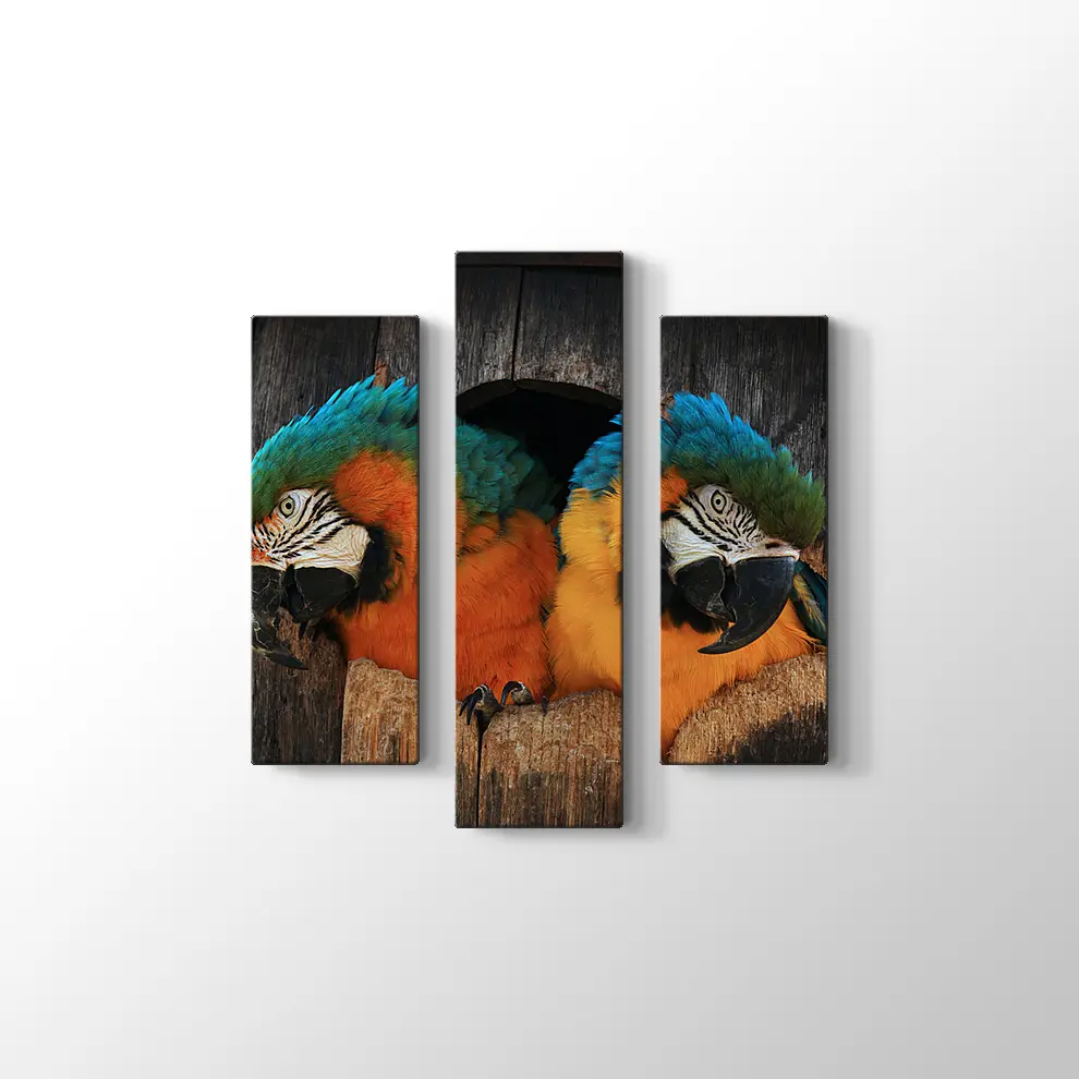 Papağan Yuvası Kanvas Tablo