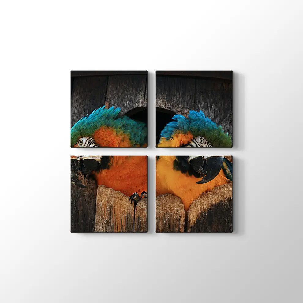 Papağan Yuvası Kanvas Tablo