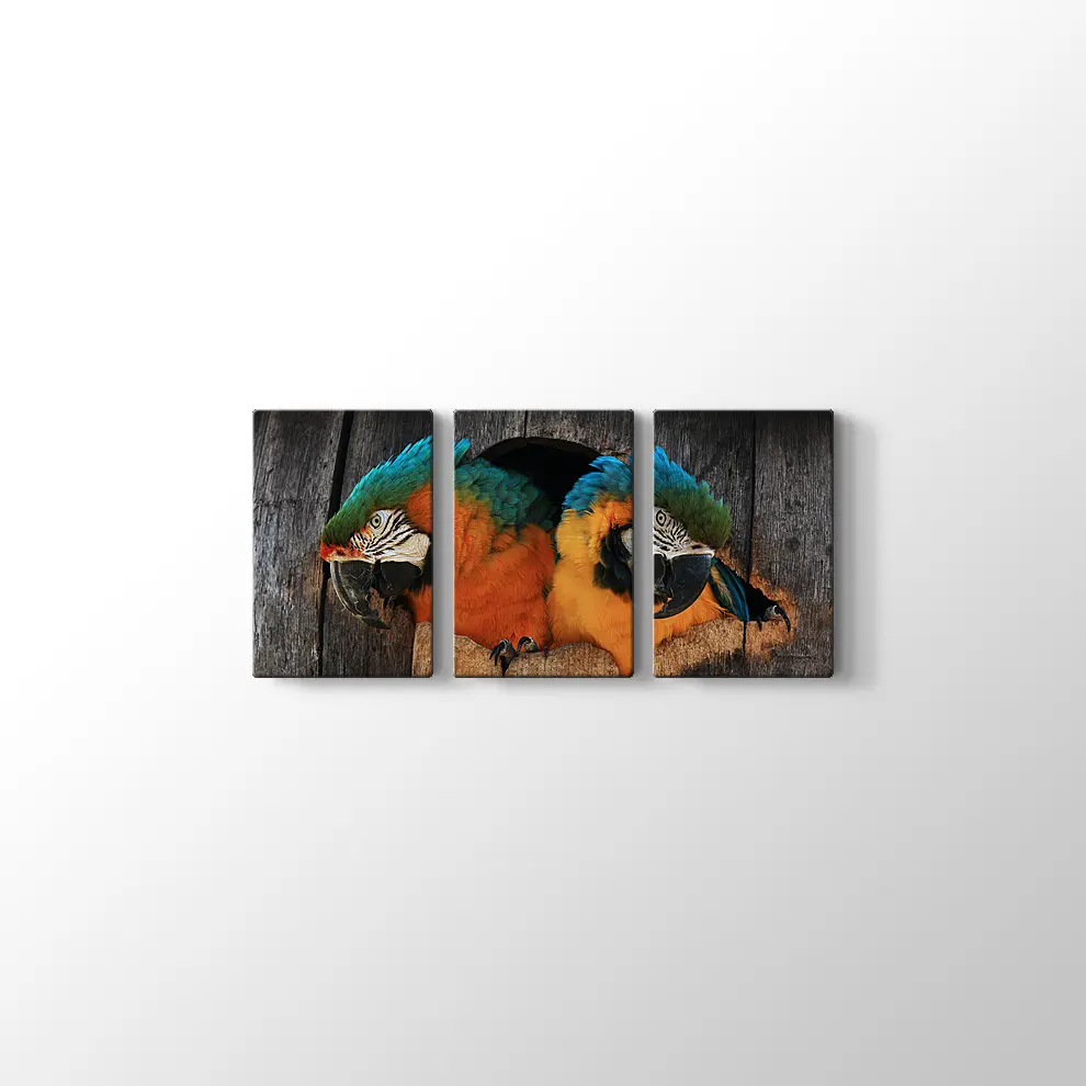 Papağan Yuvası Kanvas Tablo