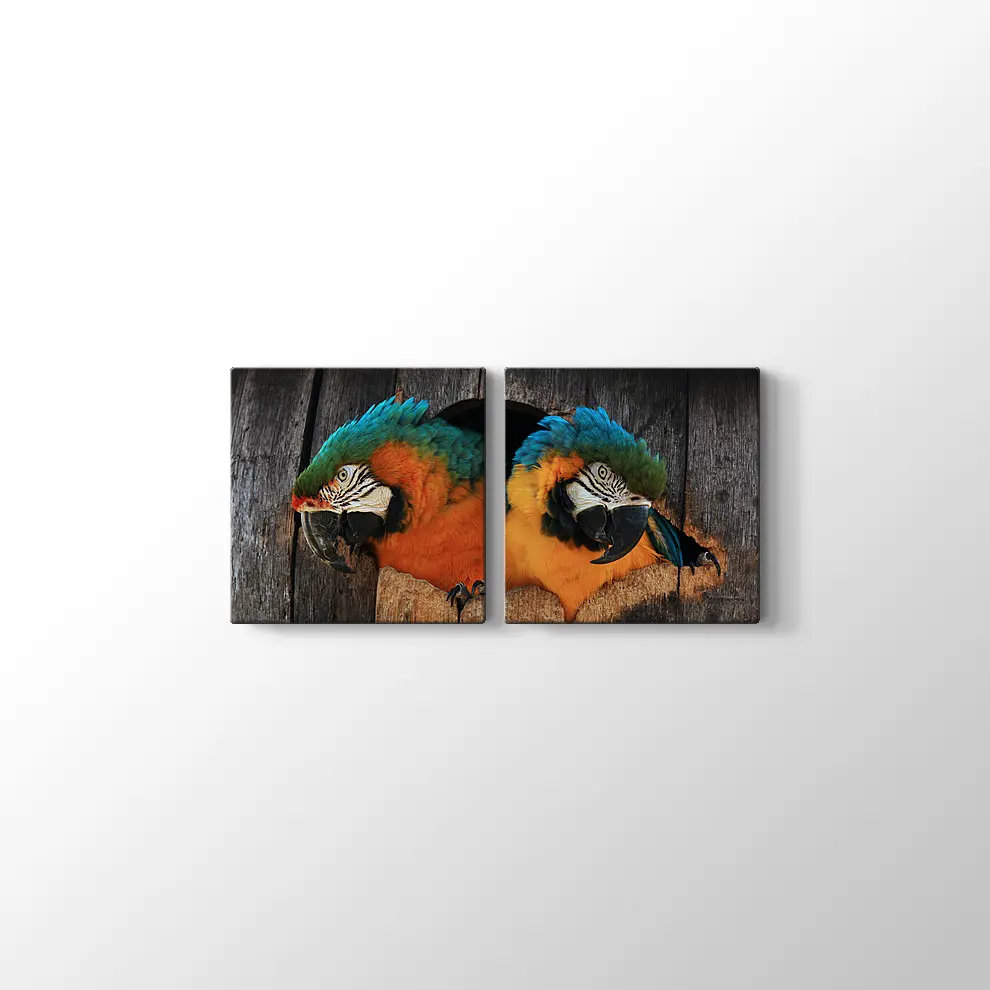 Papağan Yuvası Kanvas Tablo